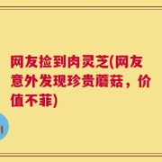 网友捡到肉灵芝(网友意外发现珍贵蘑菇，价值不菲)