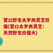 营口野生太岁肉灵芝价值(营口太岁肉灵芝：天然野生价值大)