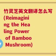 竹灵芝英文翻译怎么写(Reimagining the Healing Power of Bamboo Mushroom)