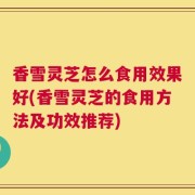 香雪灵芝怎么食用效果好(香雪灵芝的食用方法及功效推荐)