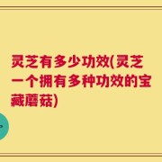 灵芝有多少功效(灵芝一个拥有多种功效的宝藏蘑菇)