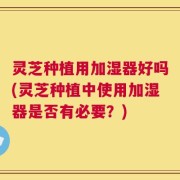 灵芝种植用加湿器好吗(灵芝种植中使用加湿器是否有必要？)