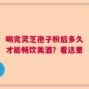 喝完灵芝孢子粉后多久才能畅饮美酒？看这里