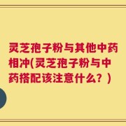 灵芝孢子粉与其他中药相冲(灵芝孢子粉与中药搭配该注意什么？)