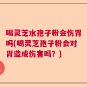喝灵芝水孢子粉会伤胃吗(喝灵芝孢子粉会对胃造成伤害吗？)