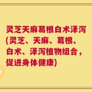 灵芝天麻葛根白术泽泻(灵芝、天麻、葛根、白术、泽泻植物组合，促进身体健康)