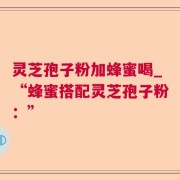 灵芝孢子粉加蜂蜜喝_“蜂蜜搭配灵芝孢子粉：”