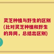 灵芝种植与野生的区别(比对灵芝种植和野生的异同，总结出区别)