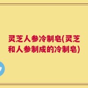 灵芝人参冷制皂(灵芝和人参制成的冷制皂)