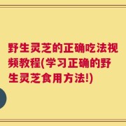 野生灵芝的正确吃法视频教程(学习正确的野生灵芝食用方法!)