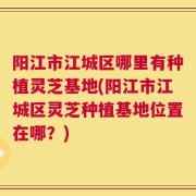 阳江市江城区哪里有种植灵芝基地(阳江市江城区灵芝种植基地位置在哪？)