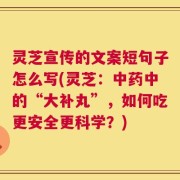 灵芝宣传的文案短句子怎么写(灵芝：中药中的“大补丸”，如何吃更安全更科学？)