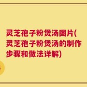 灵芝孢子粉煲汤图片(灵芝孢子粉煲汤的制作步骤和做法详解)