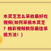木灵芝怎么采收最好吃视频(如何采摘木灵芝？精彩视频教你最佳采摘方法！)