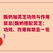 酸奶加灵芝功效与作用禁忌(酸奶搭配灵芝:功效、作用和禁忌一览)