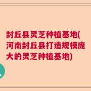 封丘县灵芝种植基地(河南封丘县打造规模庞大的灵芝种植基地)