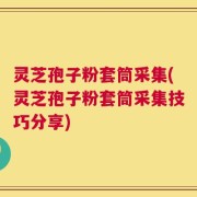 灵芝孢子粉套筒采集(灵芝孢子粉套筒采集技巧分享)