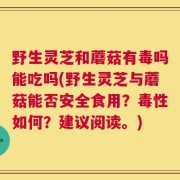 野生灵芝和蘑菇有毒吗能吃吗(野生灵芝与蘑菇能否安全食用？毒性如何？建议阅读。)