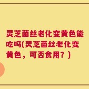 灵芝菌丝老化变黄色能吃吗(灵芝菌丝老化变黄色，可否食用？)
