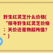 野生红灵芝什么价格(“探寻野生红灵芝价格：天价还是物超所值？”)