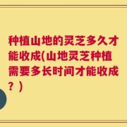 种植山地的灵芝多久才能收成(山地灵芝种植需要多长时间才能收成？)