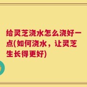 给灵芝浇水怎么浇好一点(如何浇水，让灵芝生长得更好)