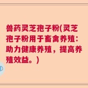 兽药灵芝孢子粉(灵芝孢子粉用于畜禽养殖：助力健康养殖，提高养殖效益。)