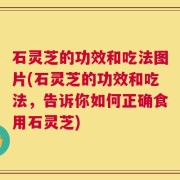 石灵芝的功效和吃法图片(石灵芝的功效和吃法，告诉你如何正确食用石灵芝)
