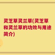 灵芝草灵兰草(灵芝草和灵兰草的功效与用途简介)