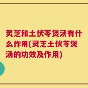 灵芝和土伏苓煲汤有什么作用(灵芝土伏苓煲汤的功效及作用)