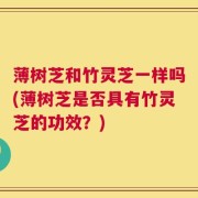 薄树芝和竹灵芝一样吗(薄树芝是否具有竹灵芝的功效？)