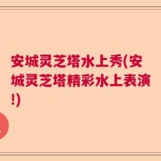 安城灵芝塔水上秀(安城灵芝塔精彩水上表演!)