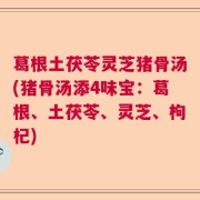 葛根土茯苓灵芝猪骨汤(猪骨汤添4味宝：葛根、土茯苓、灵芝、枸杞)