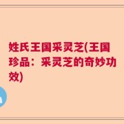 姓氏王国采灵芝(王国珍品：采灵芝的奇妙功效)