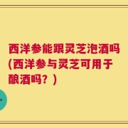 西洋参能跟灵芝泡酒吗(西洋参与灵芝可用于酿酒吗？)