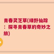 青春灵芝草(绿野仙踪：探寻青春草的奇妙之旅)