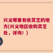 兴义哪里有收灵芝的地方(兴义地区收购灵芝处，详询！)