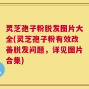 灵芝孢子粉脱发图片大全(灵芝孢子粉有效改善脱发问题，详见图片合集)