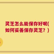 灵芝怎么能保存好呢(如何妥善保存灵芝？)