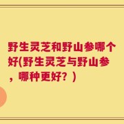 野生灵芝和野山参哪个好(野生灵芝与野山参，哪种更好？)