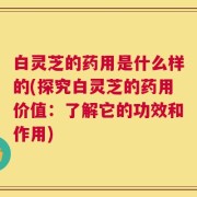 白灵芝的药用是什么样的(探究白灵芝的药用价值：了解它的功效和作用)
