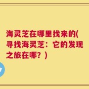 海灵芝在哪里找来的(寻找海灵芝：它的发现之旅在哪？)