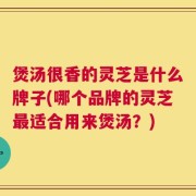 煲汤很香的灵芝是什么牌子(哪个品牌的灵芝最适合用来煲汤？)