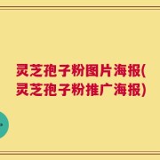 灵芝孢子粉图片海报(灵芝孢子粉推广海报)