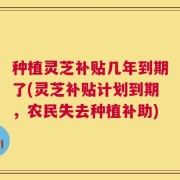 种植灵芝补贴几年到期了(灵芝补贴计划到期，农民失去种植补助)