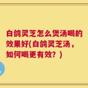 白鸽灵芝怎么煲汤喝的效果好(白鸽灵芝汤，如何喝更有效？)