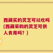 西藏买的灵芝可以吃吗(西藏采购的灵芝可供人食用吗？)