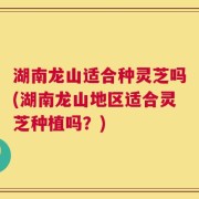 湖南龙山适合种灵芝吗(湖南龙山地区适合灵芝种植吗？)