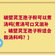 破壁灵芝孢子粉可以煮汤吗(煮汤可口又滋补，破壁灵芝孢子粉适合做汤料吗？)