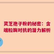 灵芝孢子粉的秘密：含端粒酶对抗的潜力解析